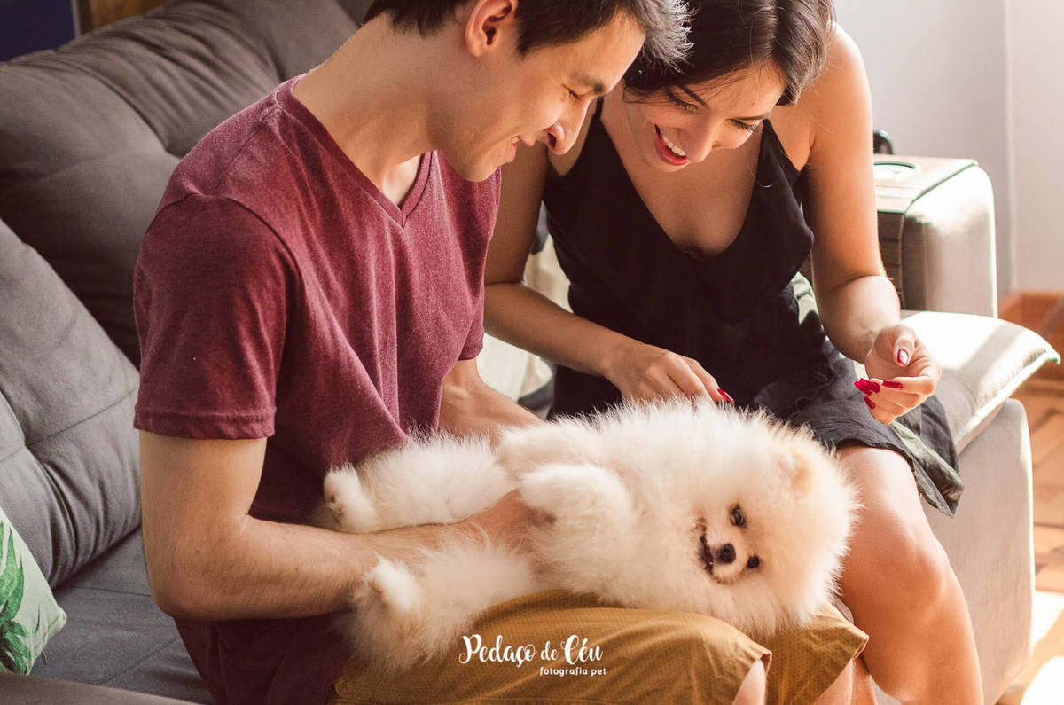 Ensaio pet família em casa com spitz
