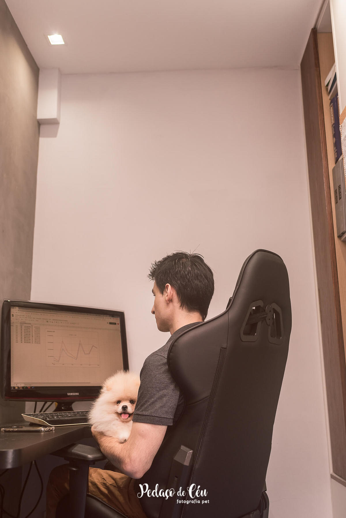 Ensaio pet família em casa com spitz