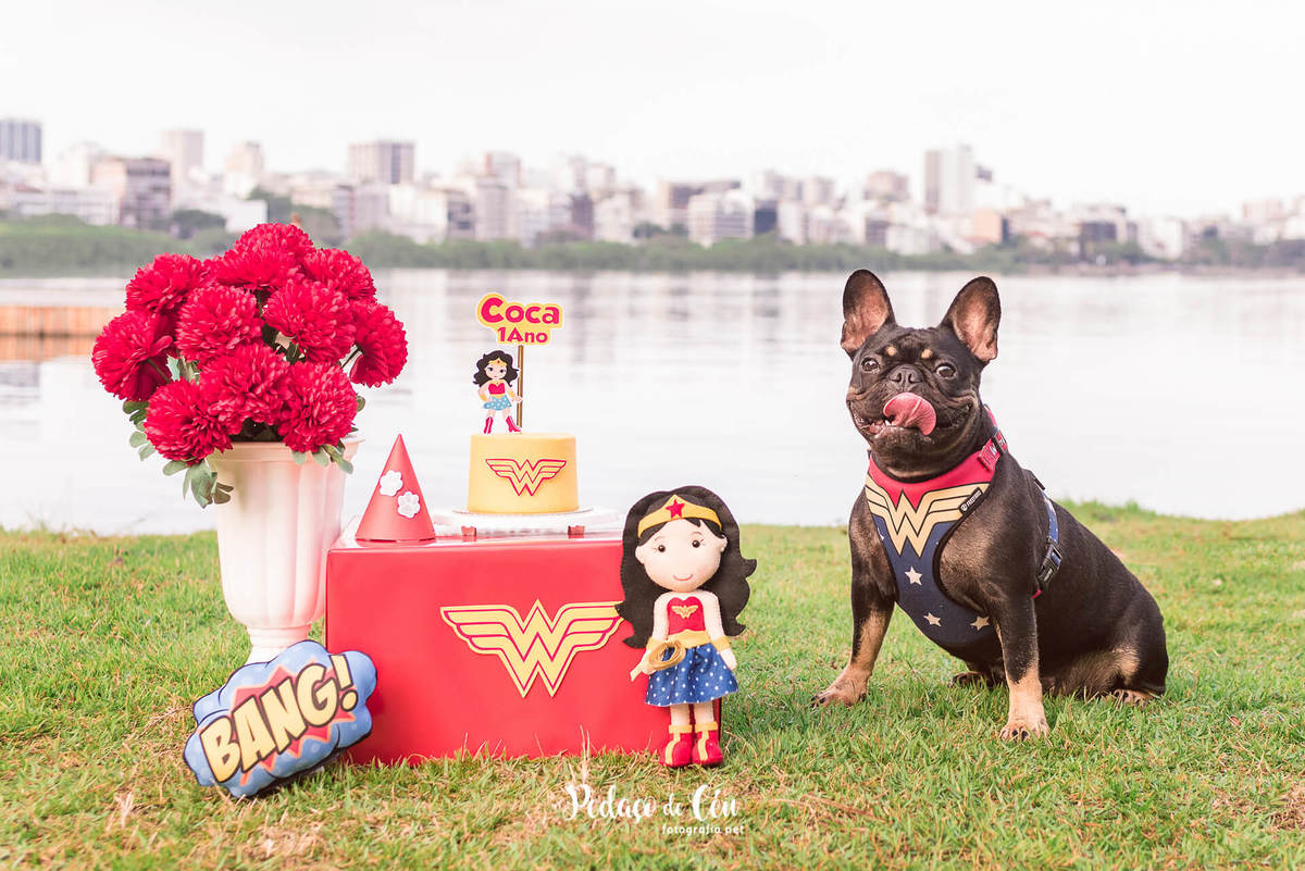 Ensaio Smash the Cake Pet Mulher Maravilha