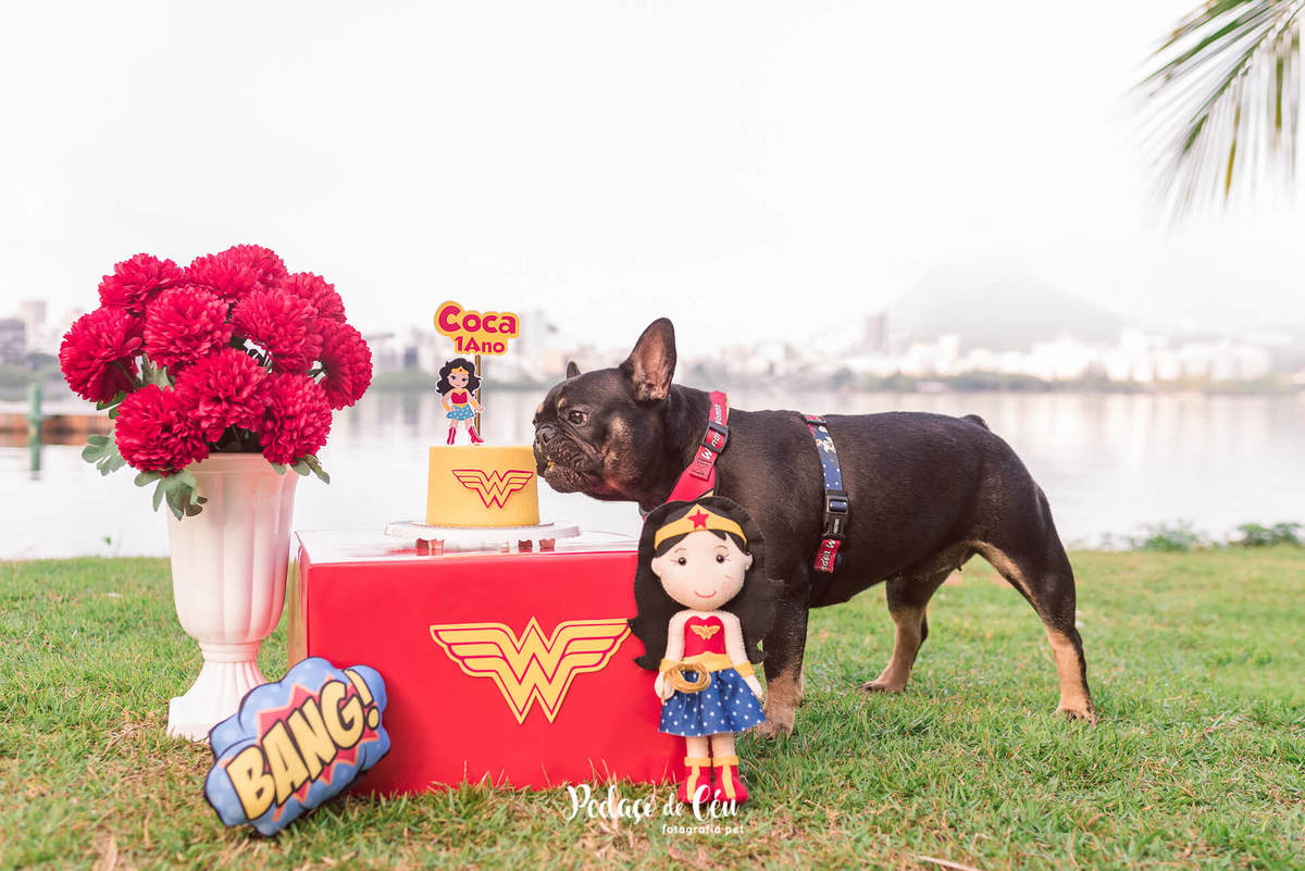 Ensaio Smash the Cake Pet Mulher Maravilha