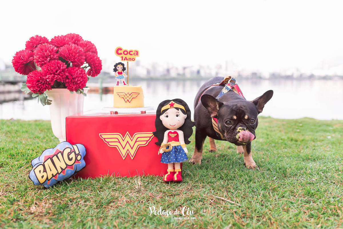 Ensaio Smash the Cake Pet Mulher Maravilha