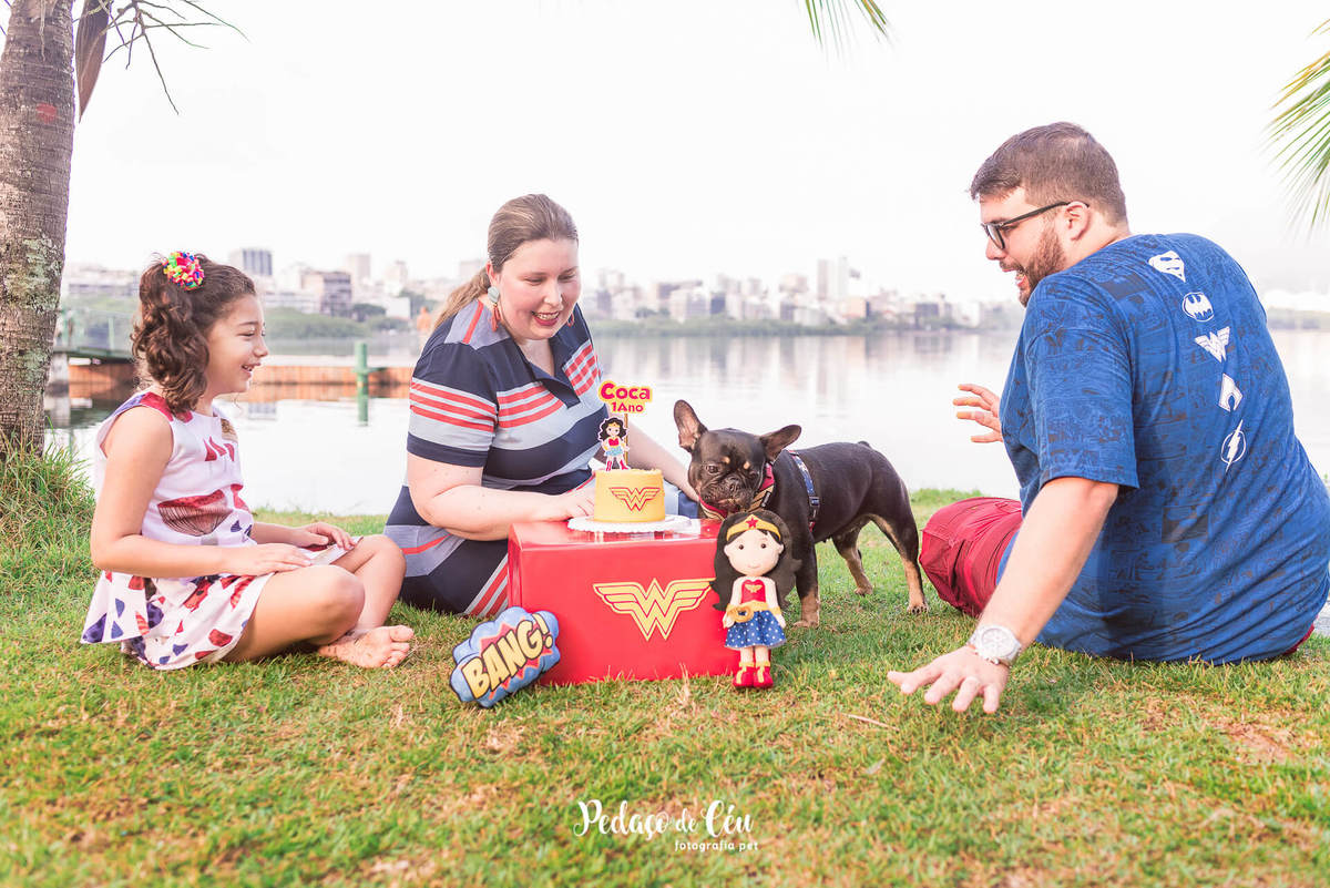 Ensaio Smash the Cake Pet Mulher Maravilha