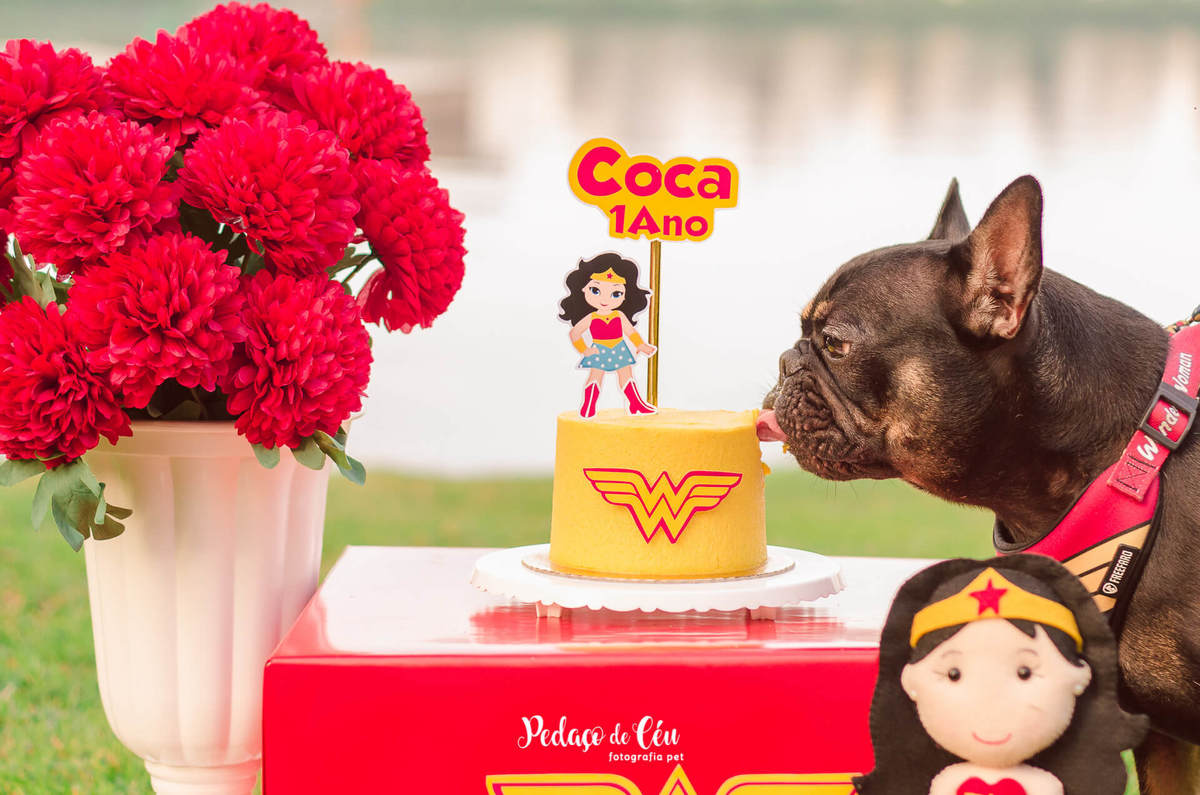 Ensaio Smash the Cake Pet Mulher Maravilha