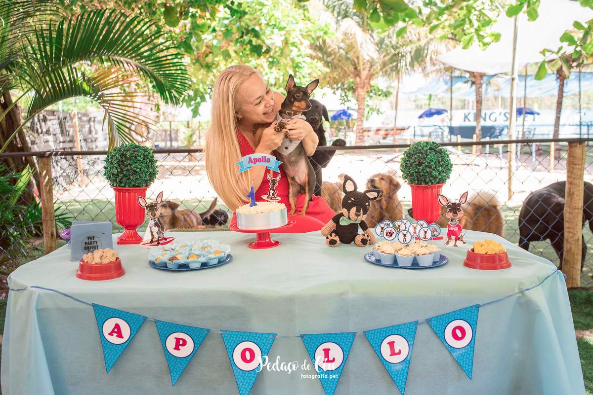 Festa Pet Pinscher - Aniversário Pet Apollo