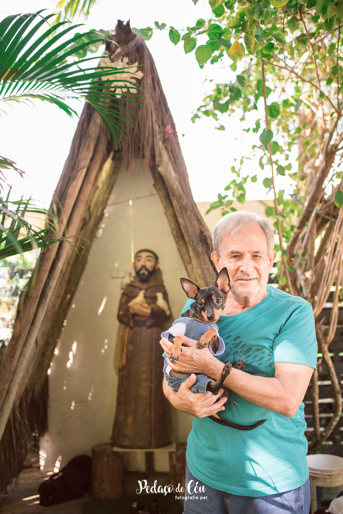 Festa Pet Pinscher - Aniversário Pet Apollo