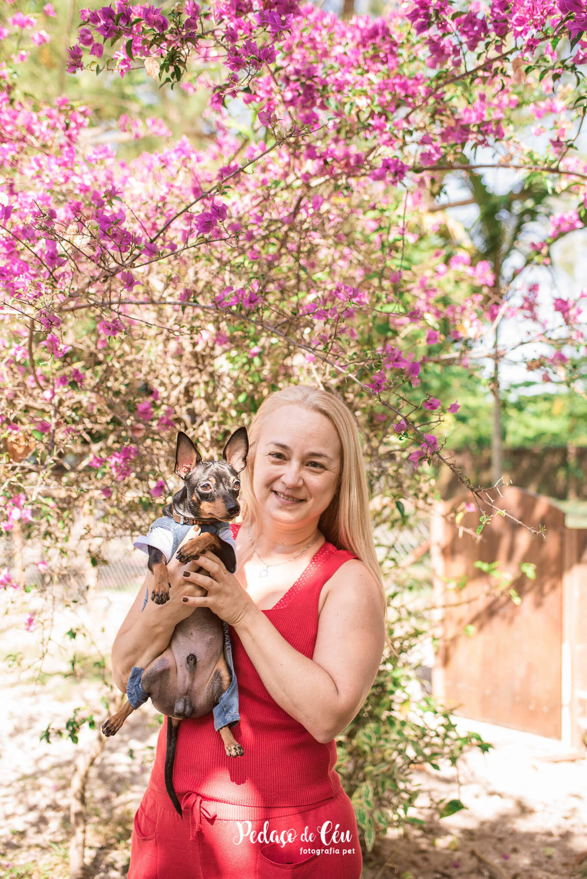 Festa Pet Pinscher - Aniversário Pet Apollo