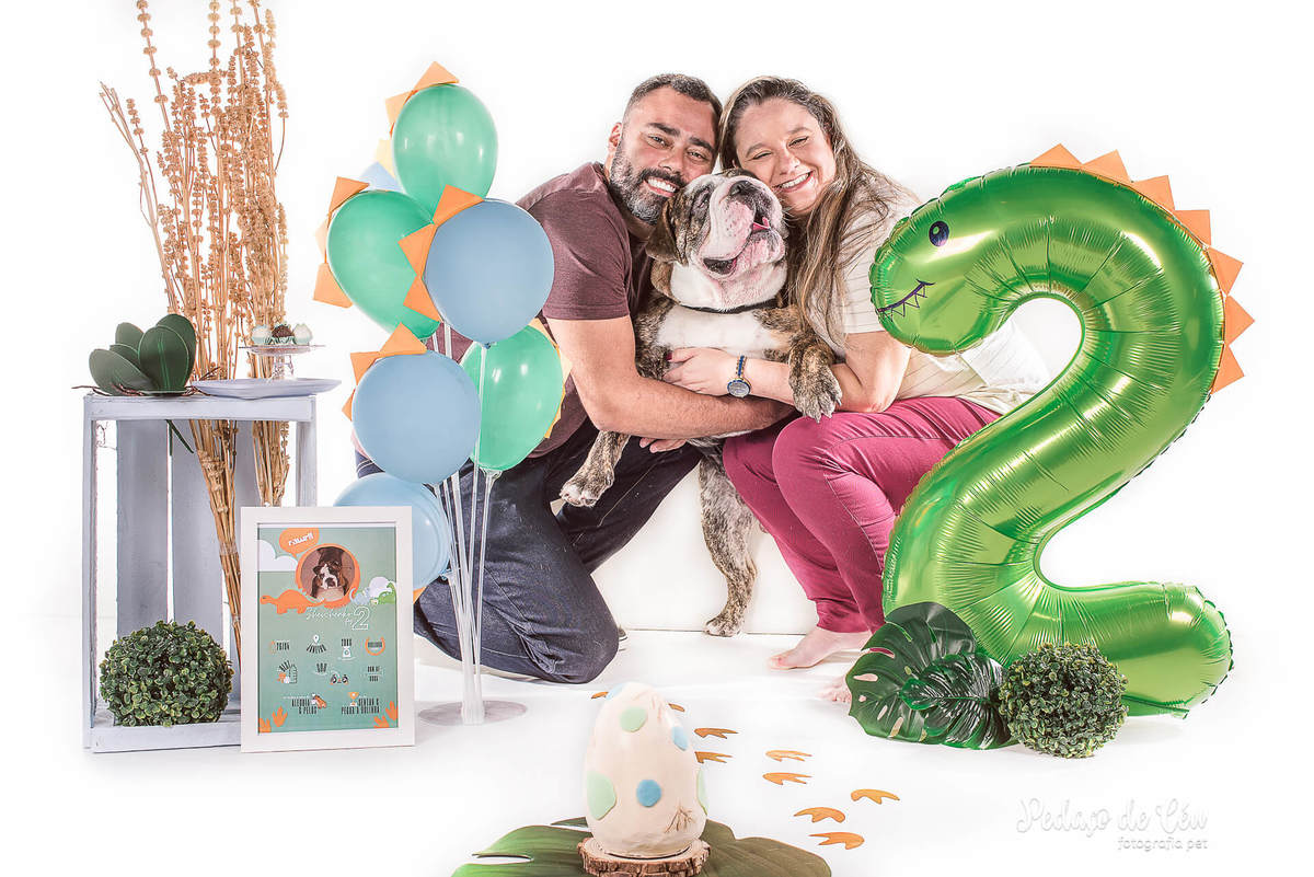 Smash the Cake pet - Ensaio pet bulldog inglês