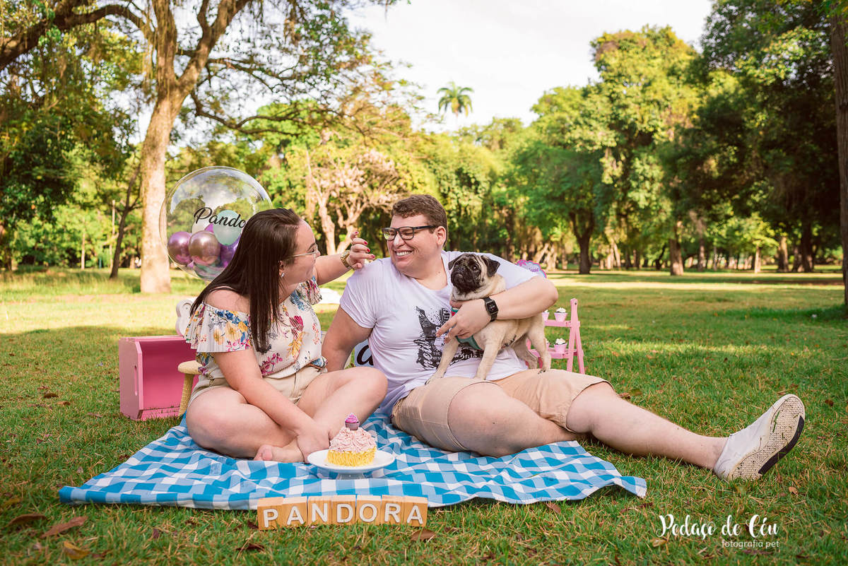 Smash the Cake Pet Pug RJ - Ensaio Pet Pug