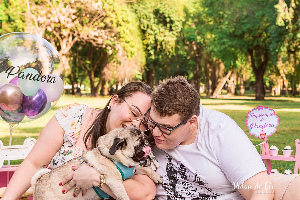 Smash the Cake Pet Pug RJ - Ensaio Pet Pug
