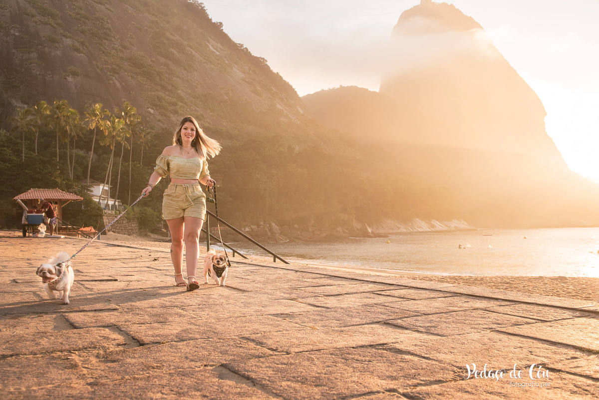 Ensaio pet família shihtzu na Urca