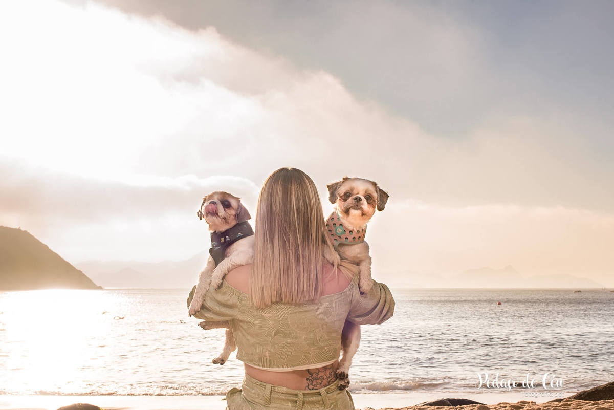 Ensaio pet família shihtzu na Urca