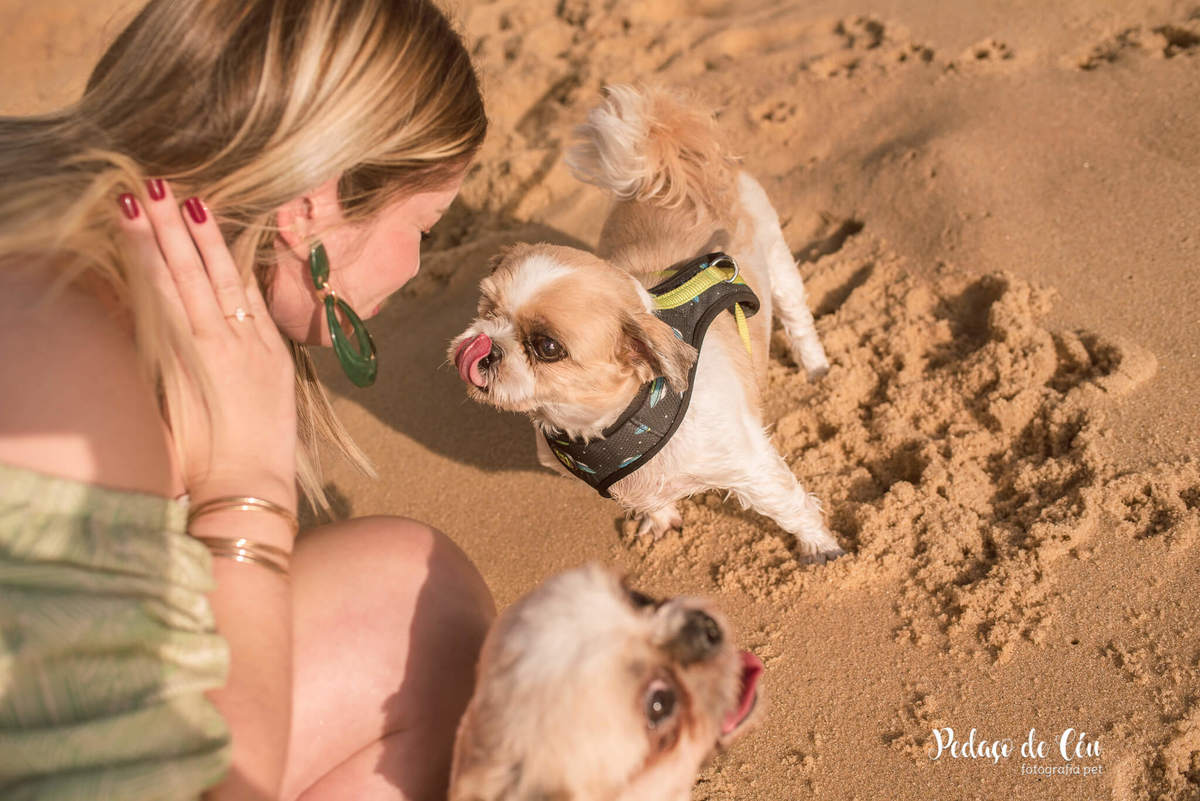 Ensaio pet família shihtzu na Urca