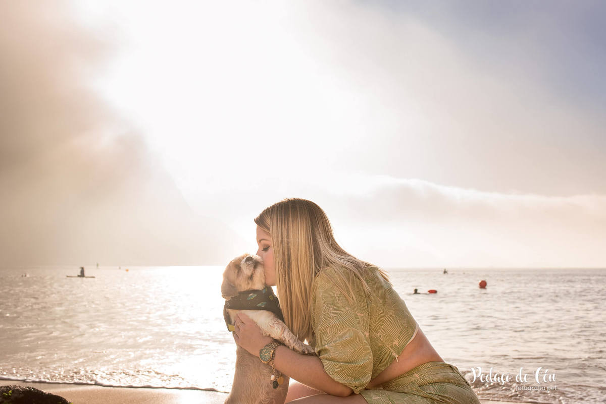 Ensaio pet família shihtzu na Urca