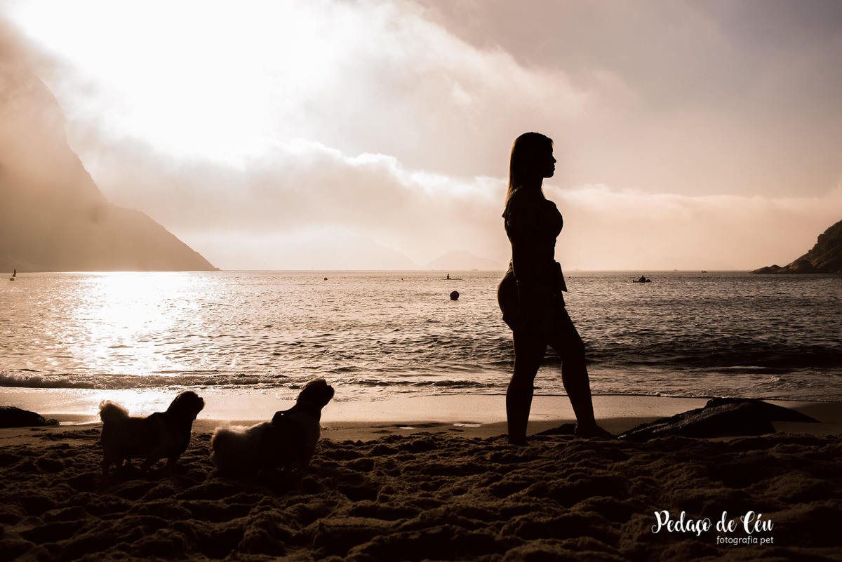 Ensaio pet família shihtzu na Urca