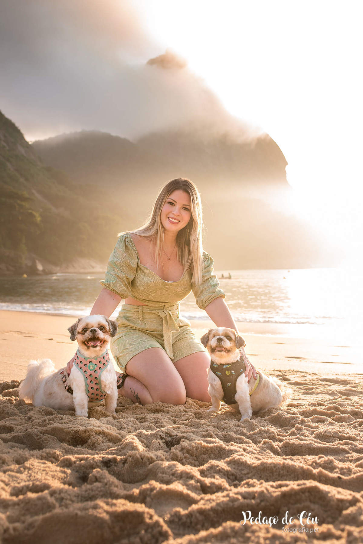 Ensaio pet família shihtzu na Urca