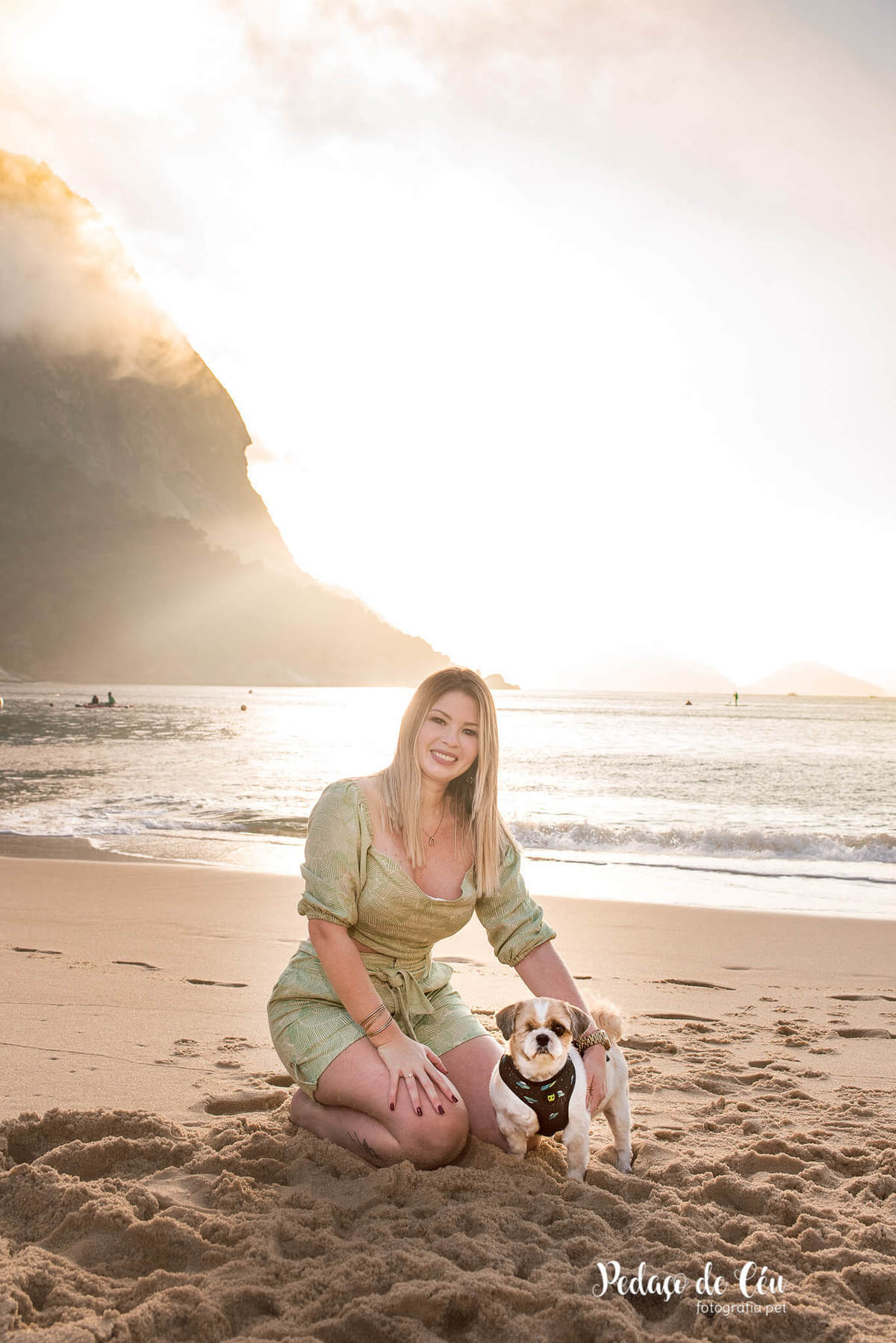 Ensaio pet família shihtzu na Urca