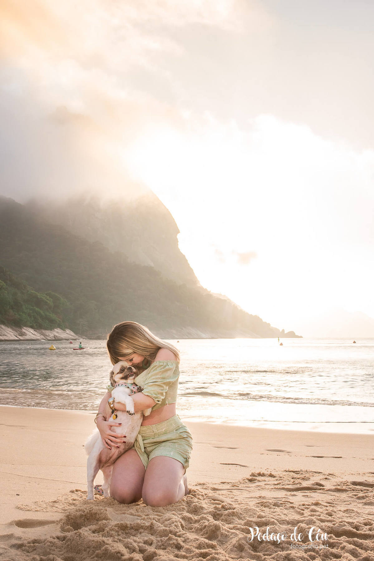 Ensaio pet família shihtzu na Urca