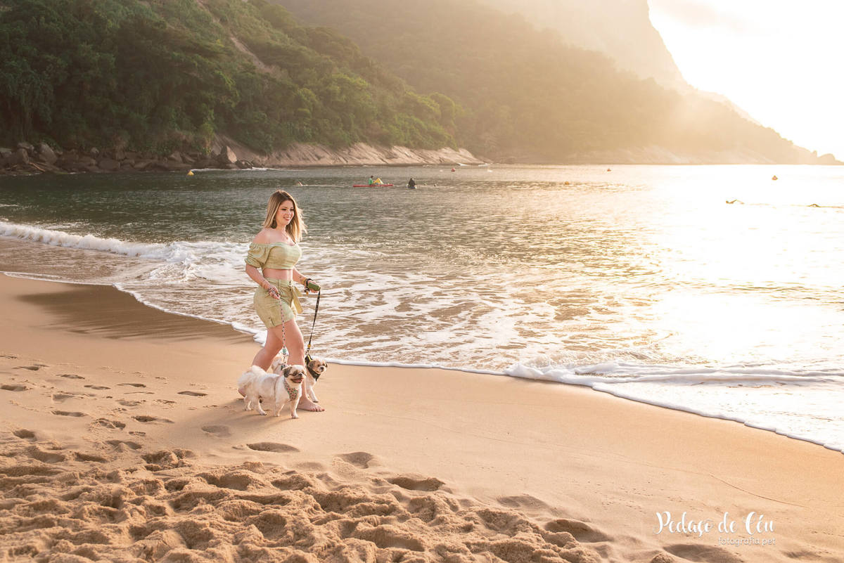 Ensaio pet família shihtzu na Urca