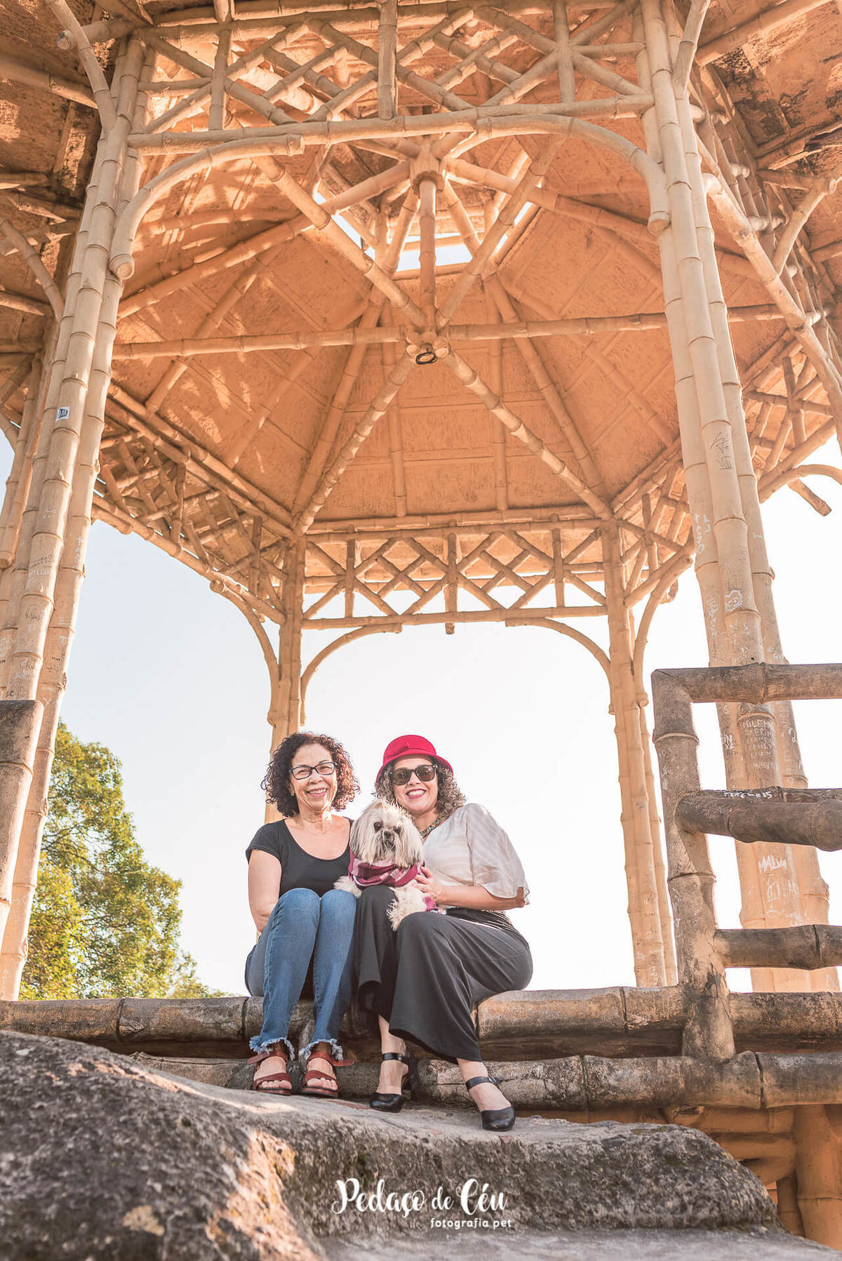 Ensaio pet shihtzu rio de janeiro quinta da boa vista