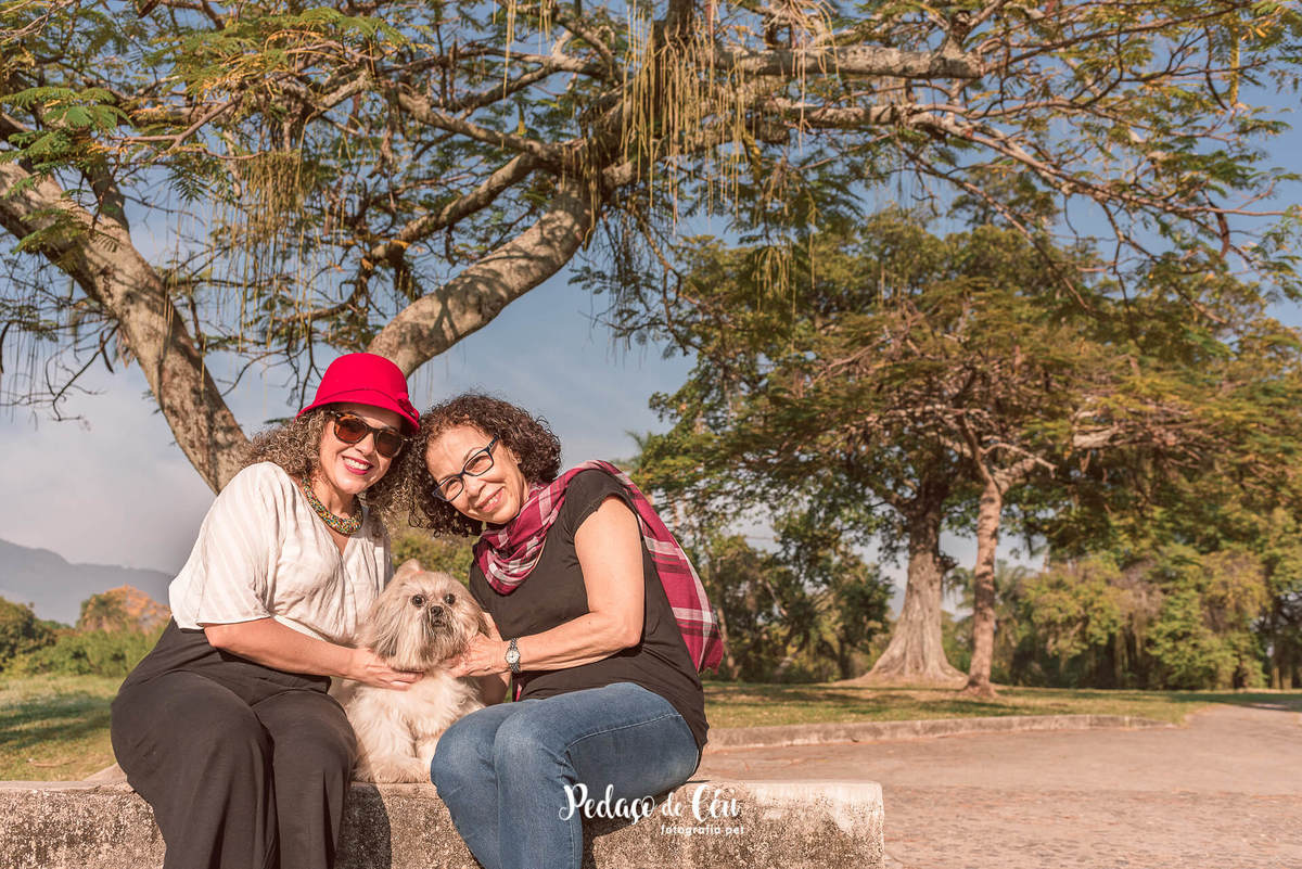 Ensaio pet shihtzu rio de janeiro quinta da boa vista