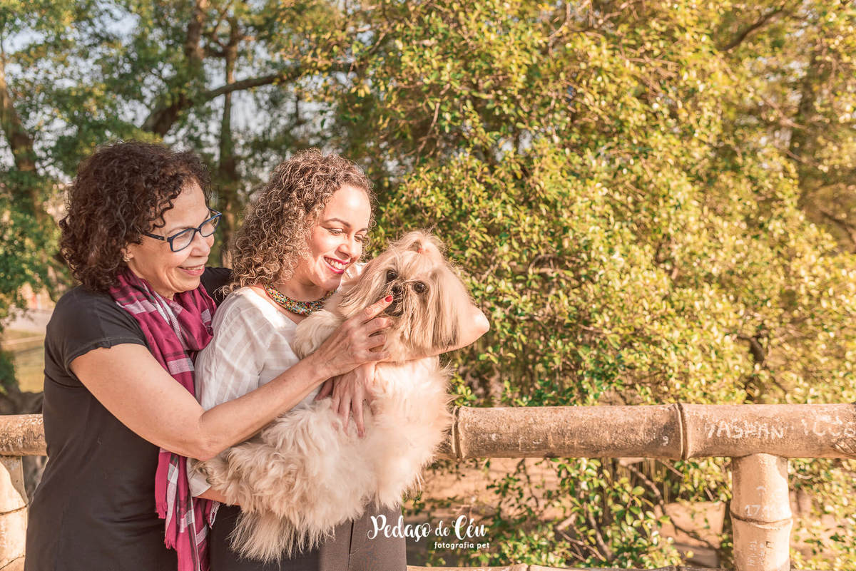 Ensaio pet shihtzu rio de janeiro quinta da boa vista
