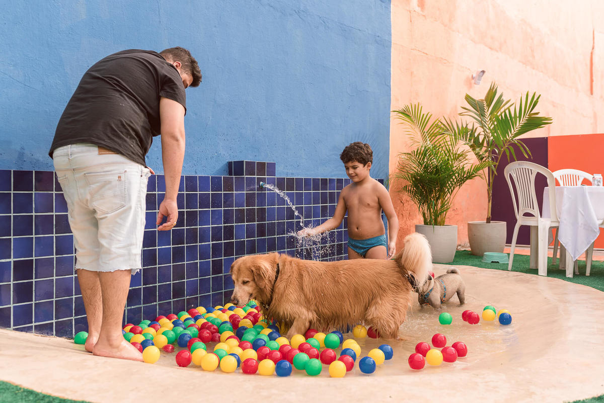 Aniversário Pet Lolla Shihtzu