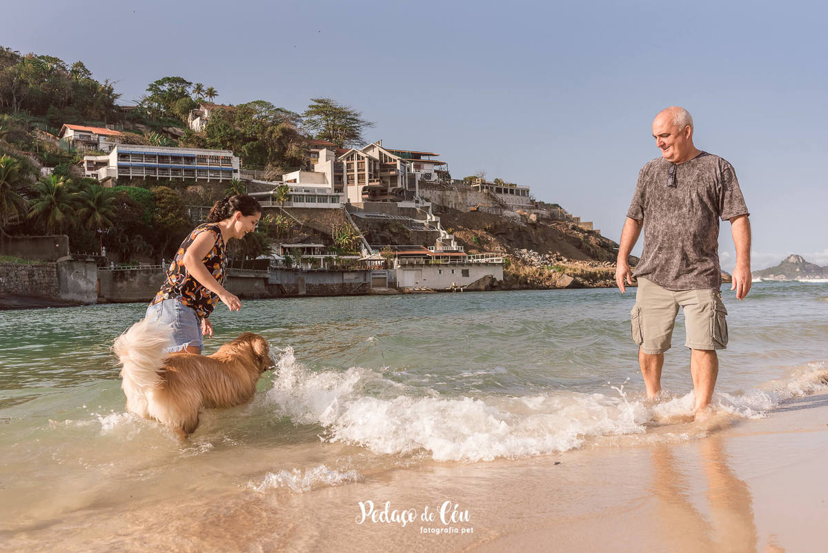 ensaio pet golden retriever RJ