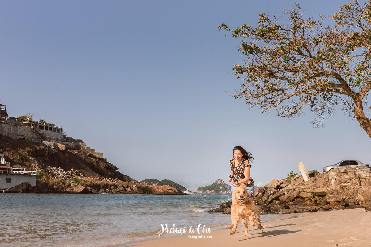 ensaio pet golden retriever RJ