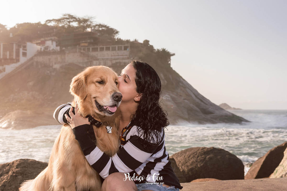 ensaio pet golden retriever RJ