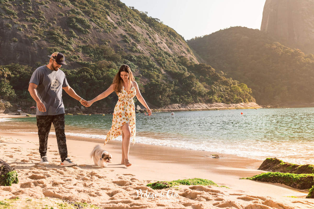 ensaio pet família shihtzu praia rio de janeiro