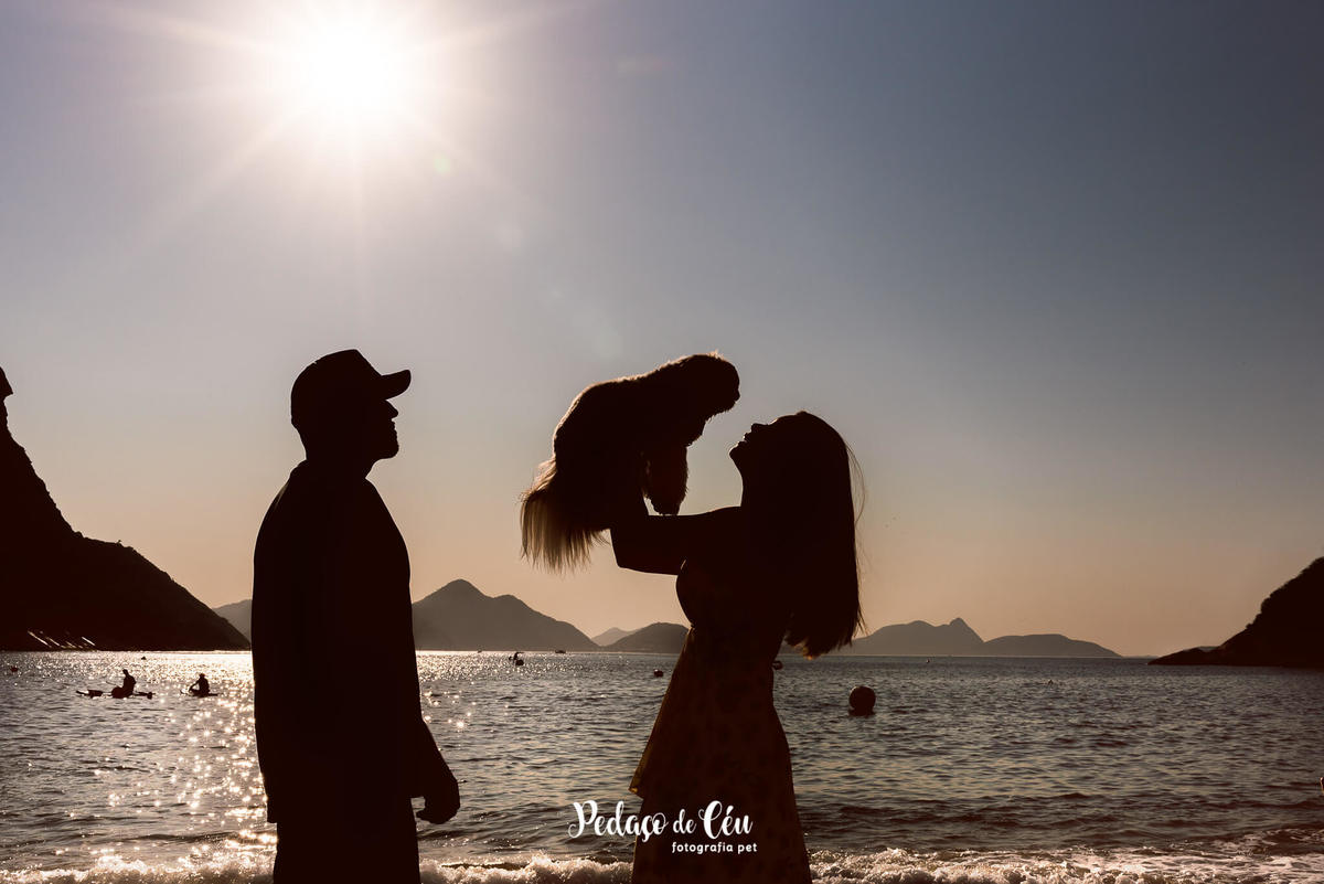 ensaio pet família shihtzu praia rio de janeiro