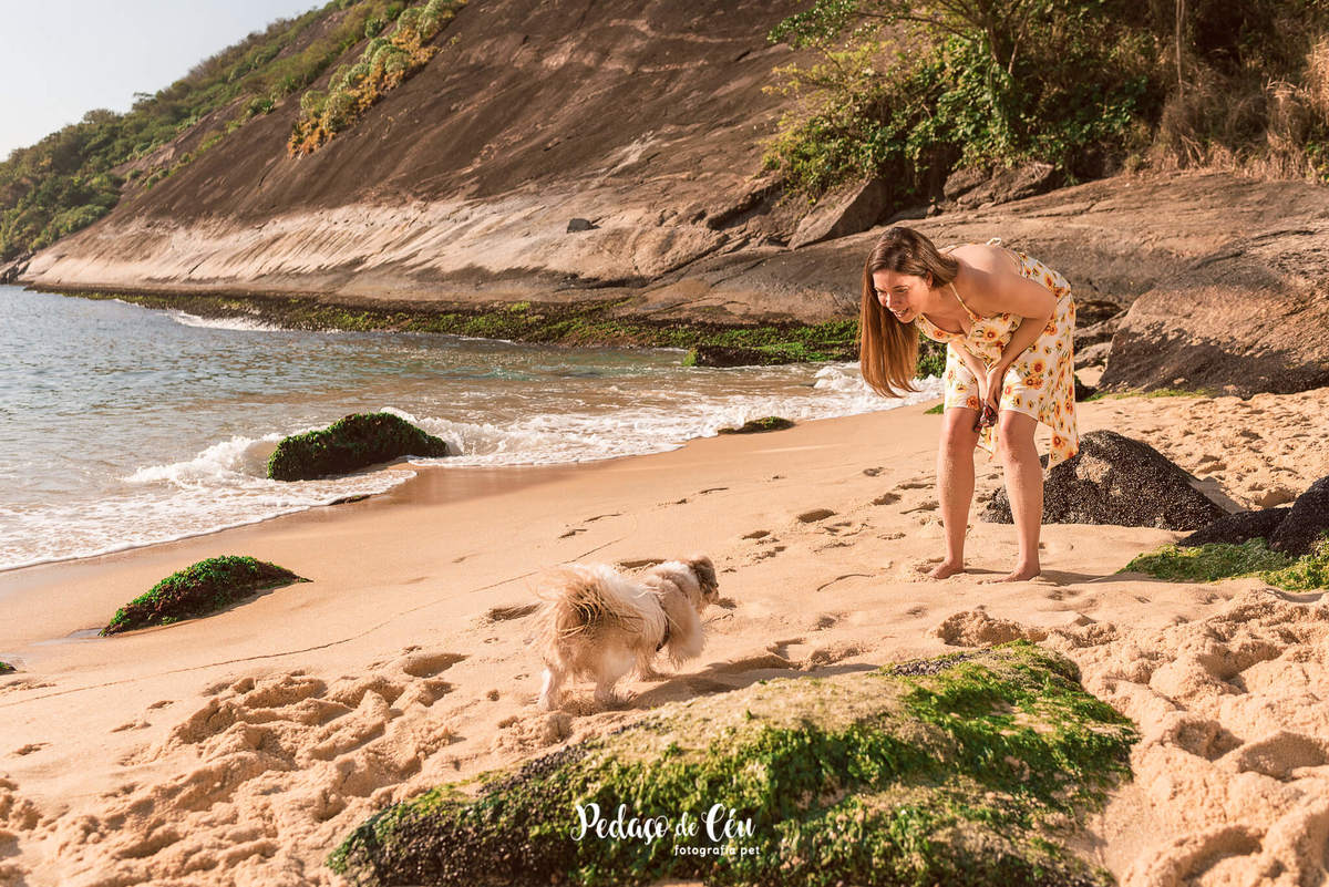 ensaio pet shihtzu praia rio de janeiro