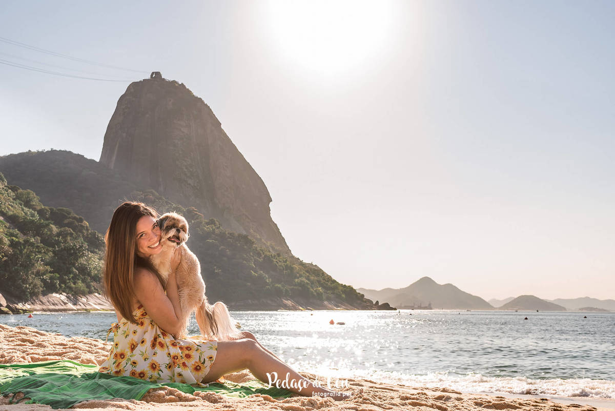 ensaio pet shihtzu praia rio de janeiro