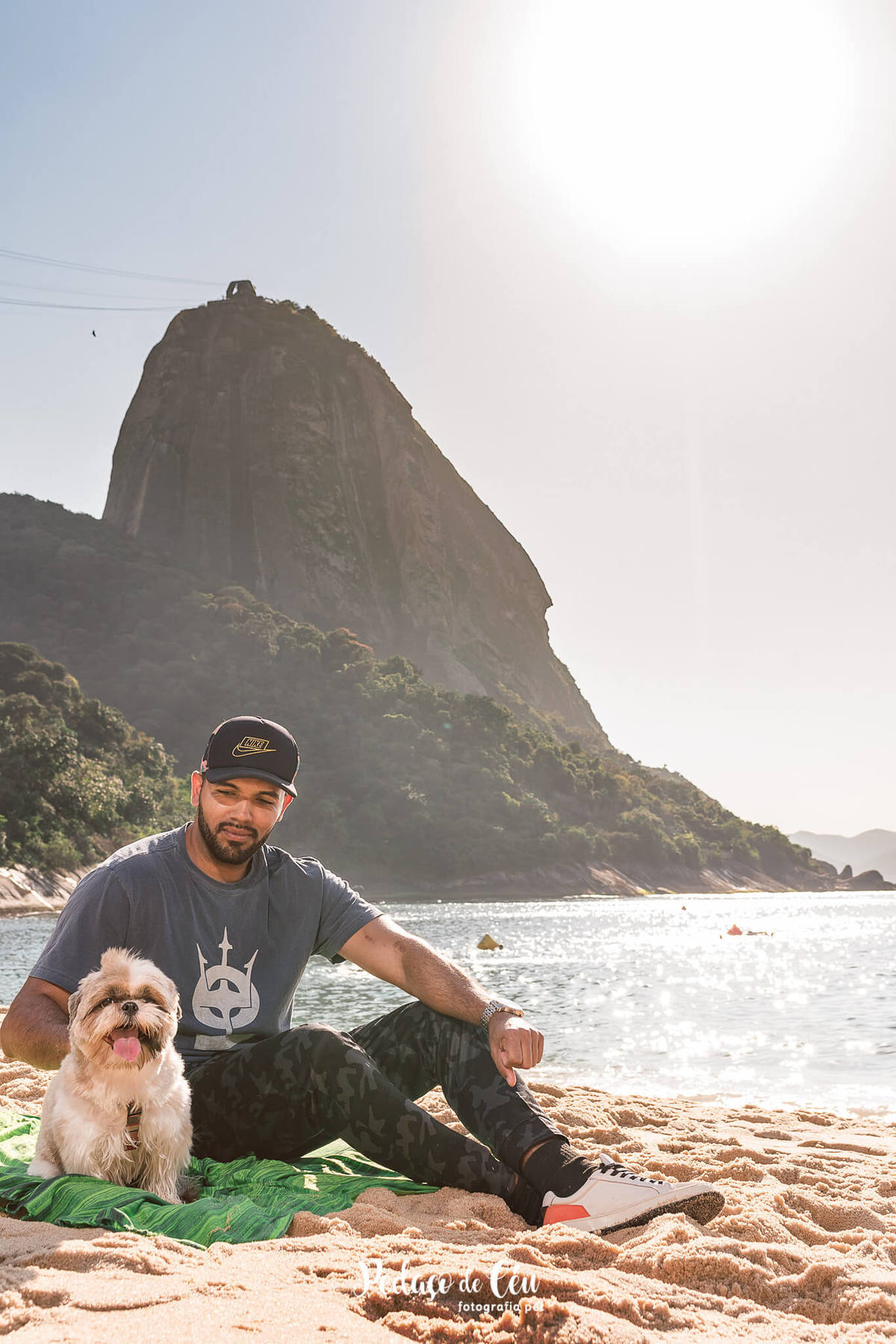 ensaio pet shihtzu praia rio de janeiro
