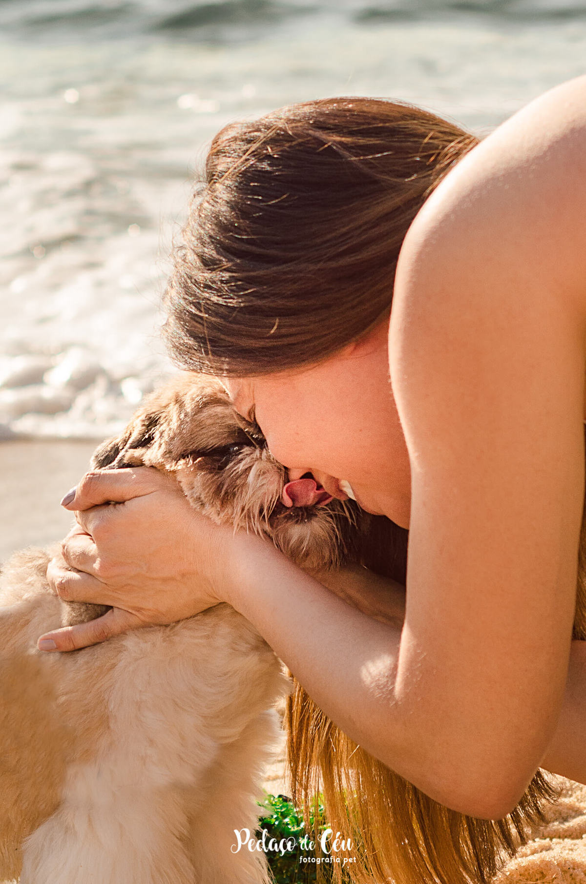 ensaio pet shihtzu praia rio de janeiro