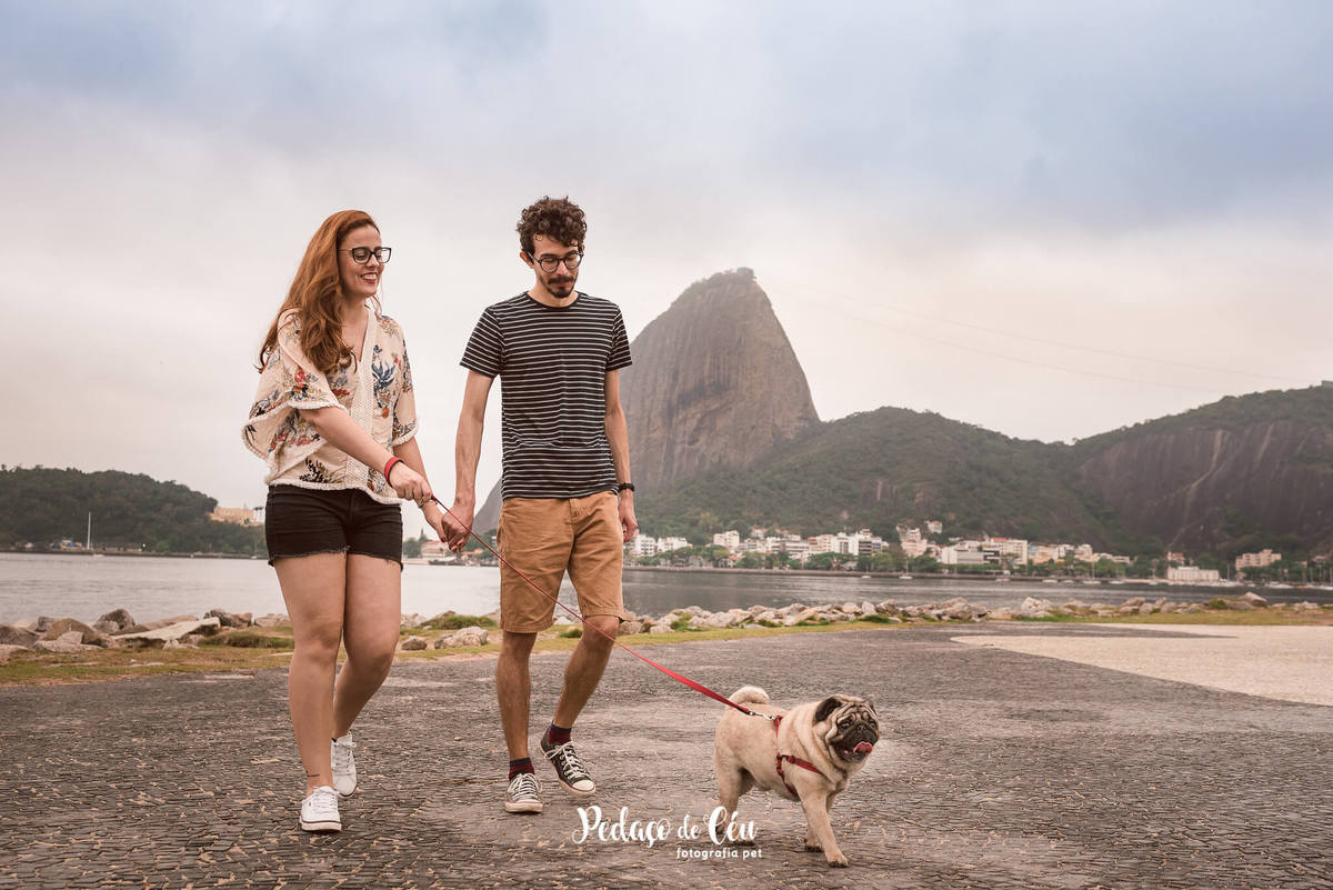 Ensaio Pet Pug Aterro do Flamengo RJ