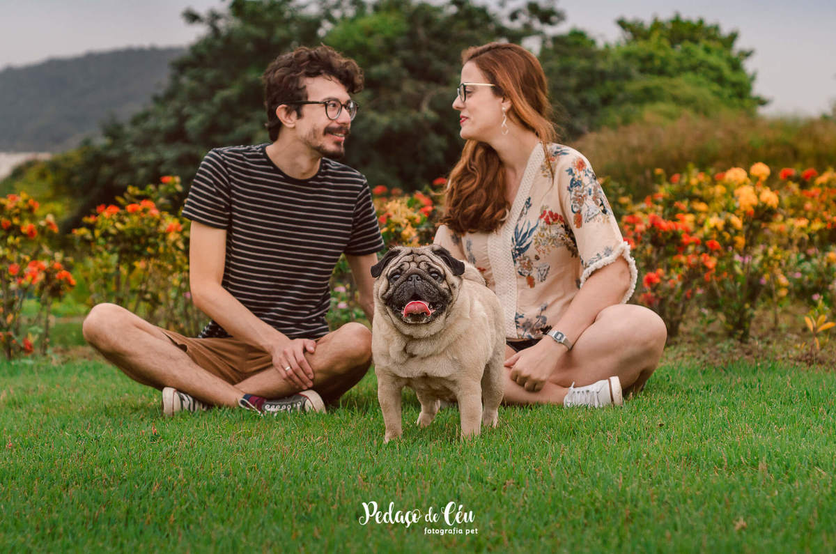 Ensaio Pet Pug Aterro do Flamengo RJ