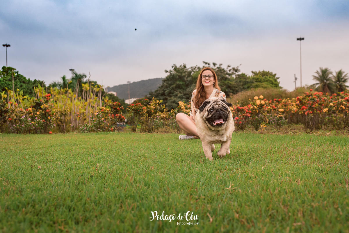 Ensaio Pet Pug Aterro do Flamengo RJ