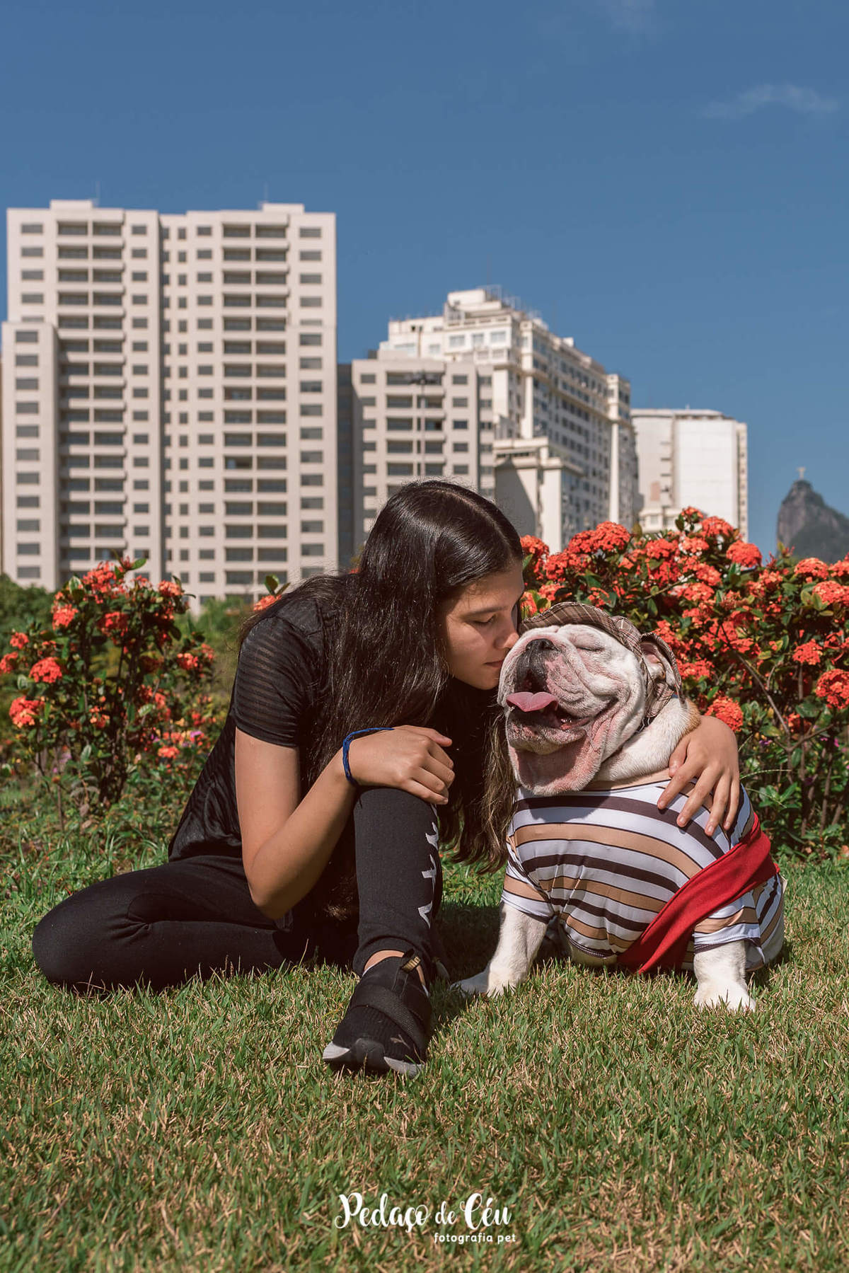 Fotografia pet Bulldog inglês rj - Aterro do Flamengo