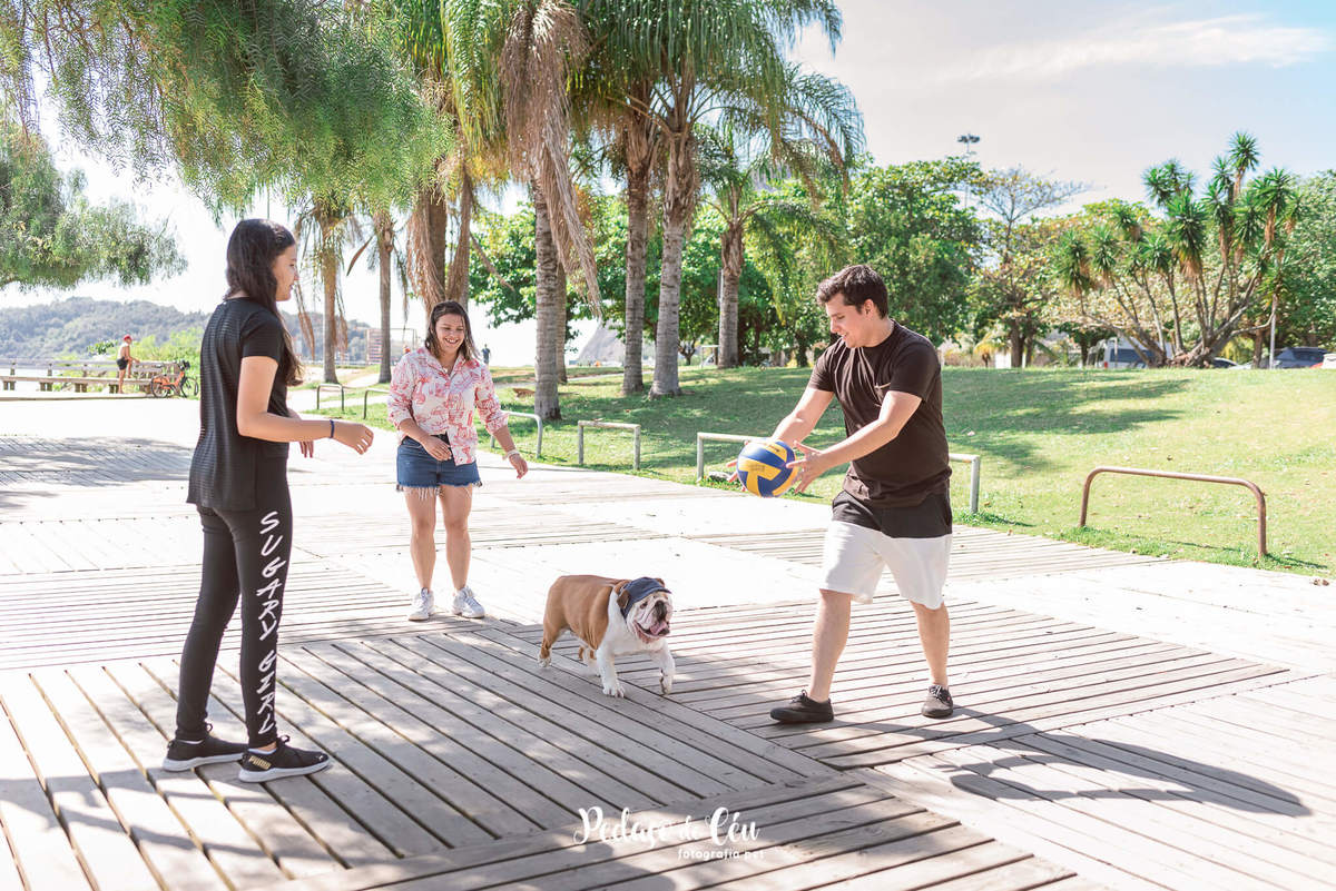 Fotografia pet Bulldog inglês rj - Aterro do Flamengo