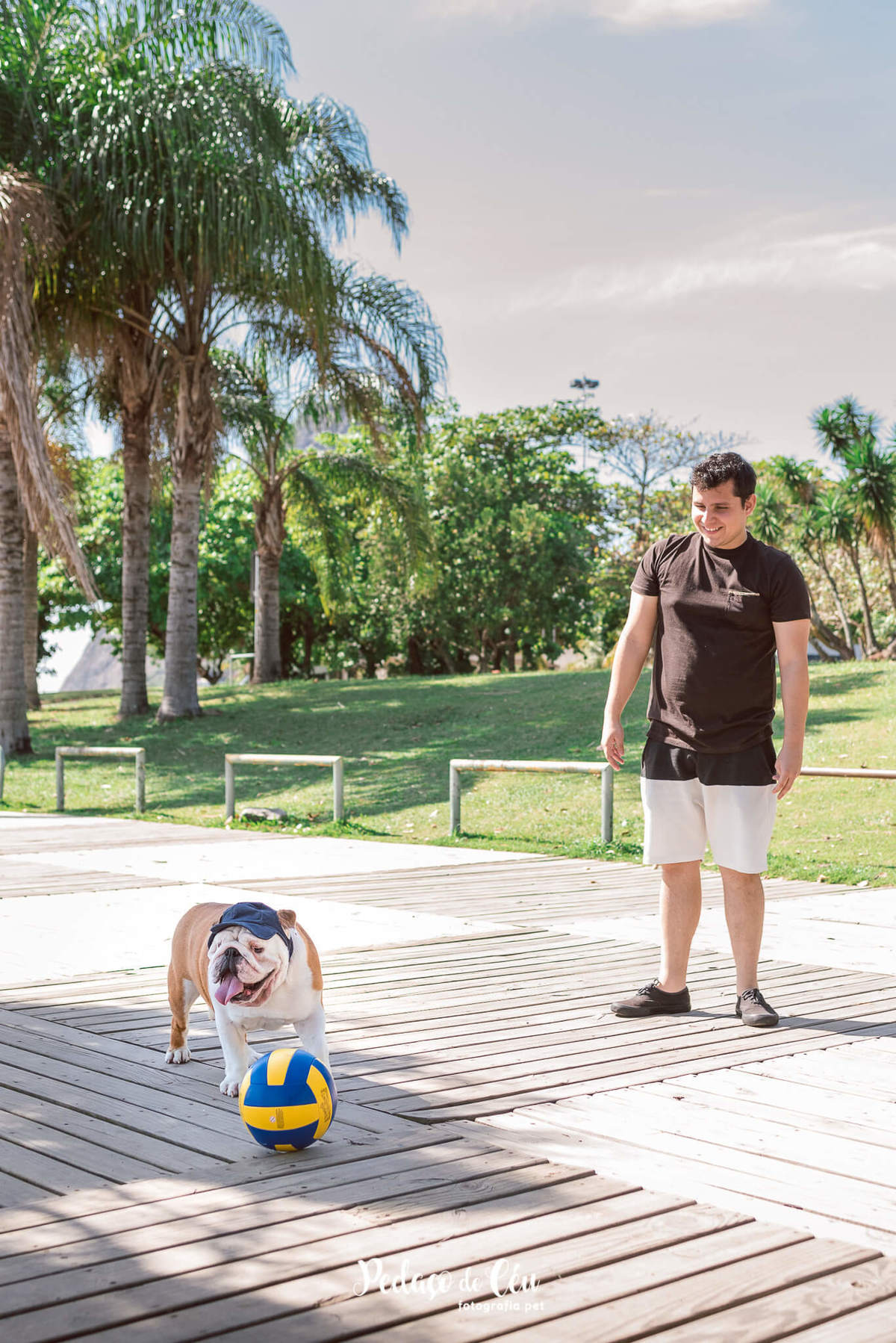 Fotografia pet Bulldog inglês rj - Aterro do Flamengo