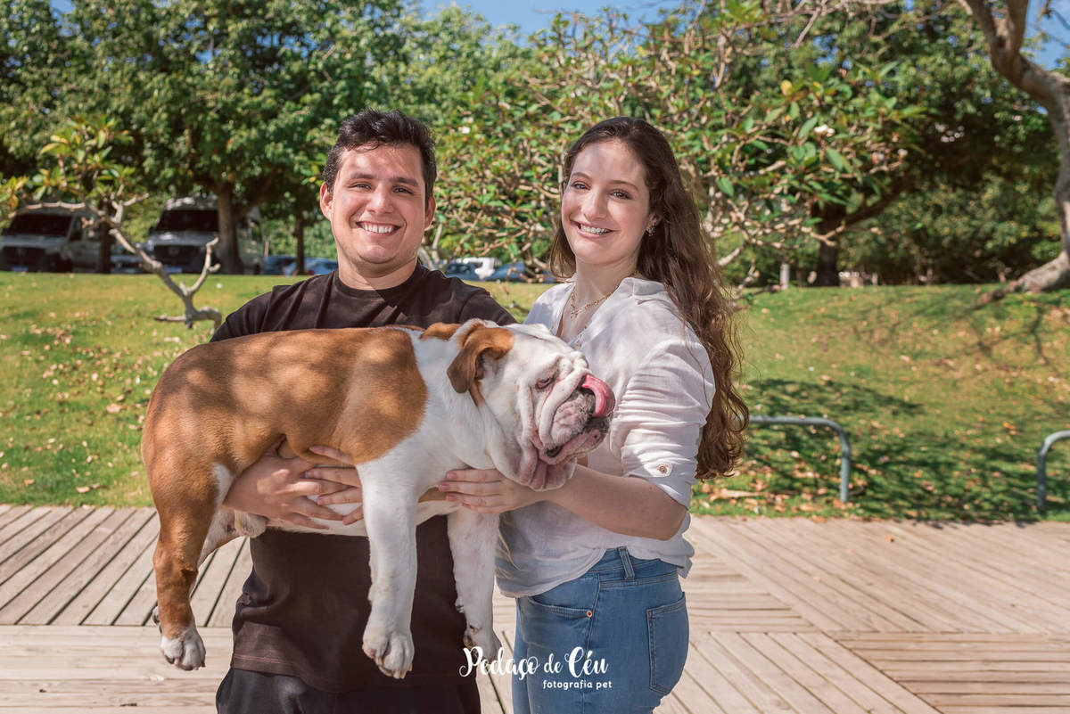 Fotografia pet Bulldog inglês rj - Aterro do Flamengo