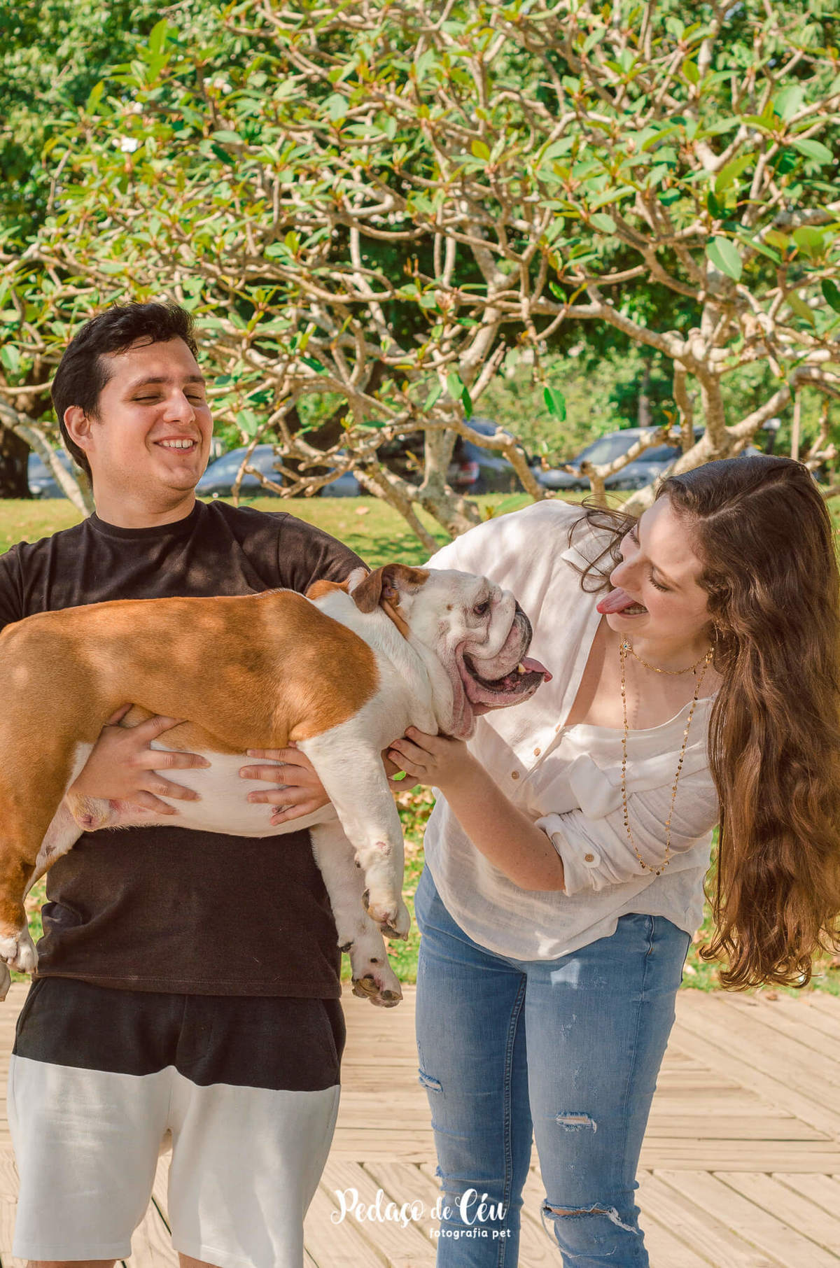 Fotografia pet Bulldog inglês rj - Aterro do Flamengo