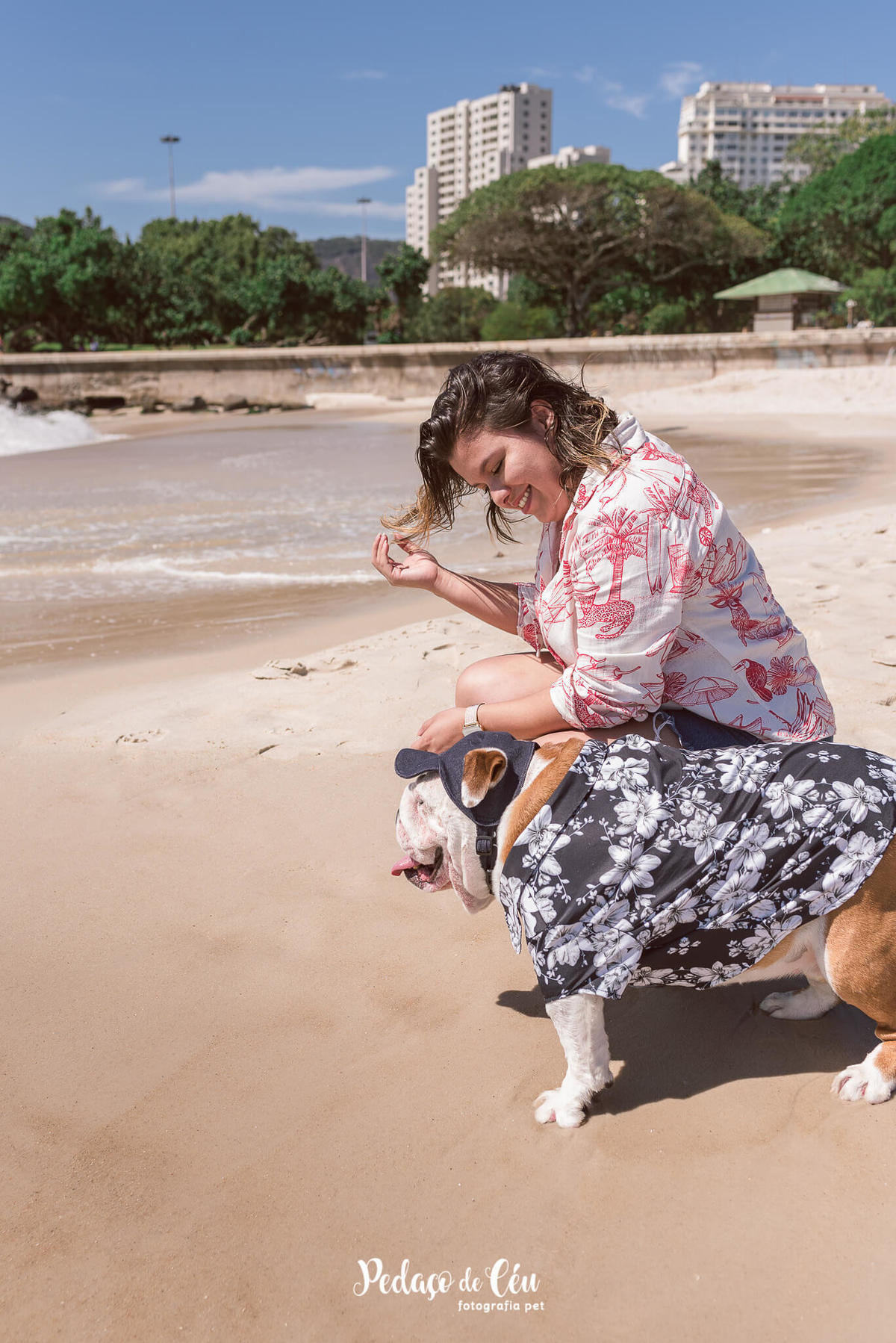 Fotografia pet Bulldog inglês rj - Praia do Flamengo