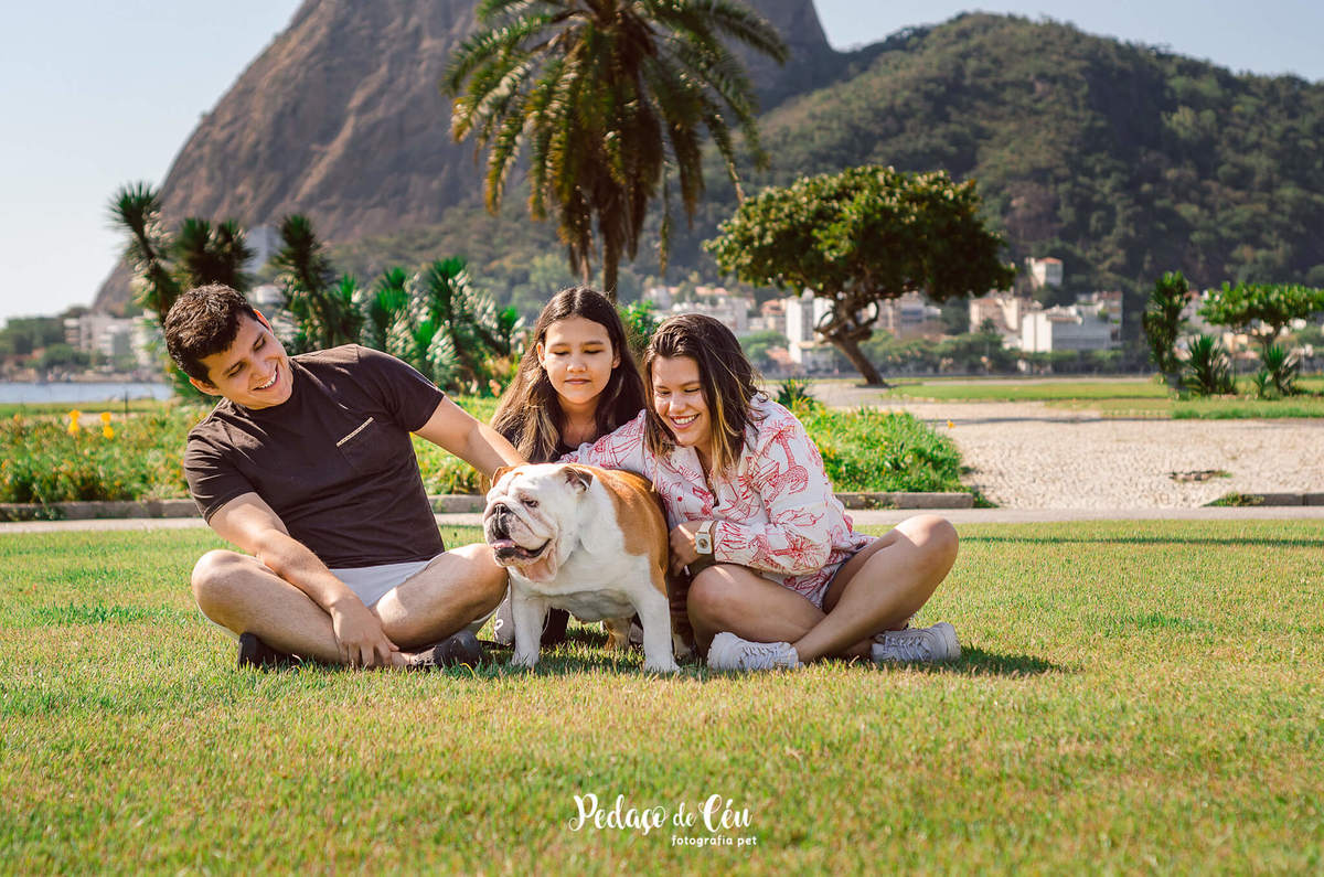 Fotografia pet Bulldog inglês rj - Aterro do Flamengo