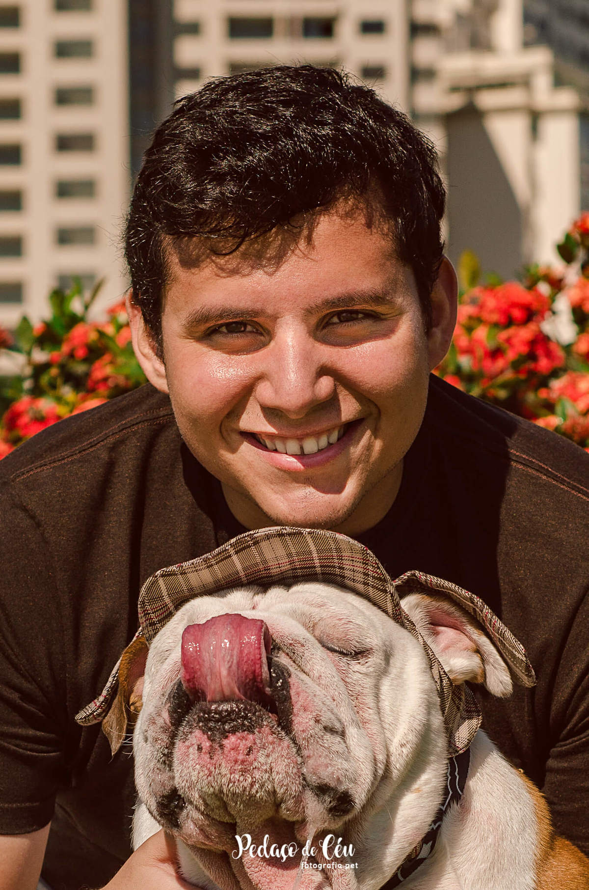 Fotografia pet Bulldog inglês rj - Aterro do Flamengo