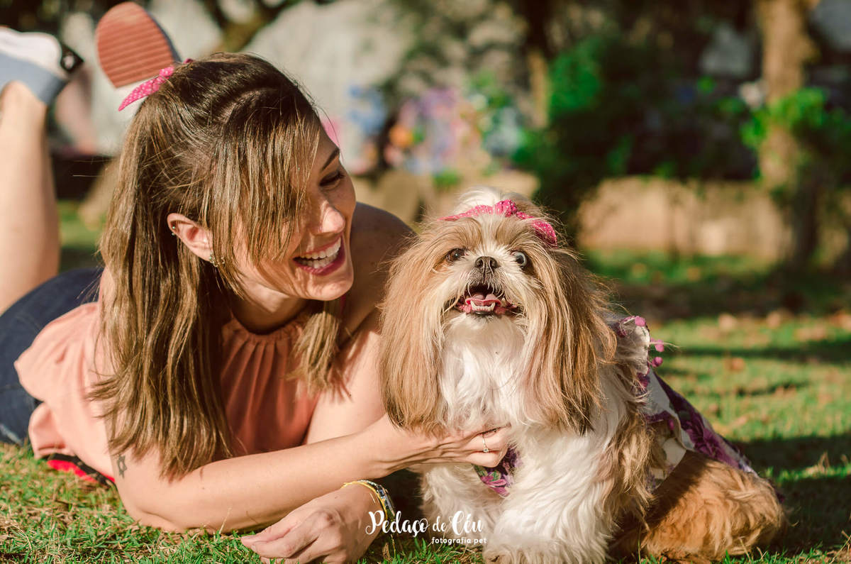 Fotografia pet shihtzu RJ Lagoa Rodrigo de Freitas