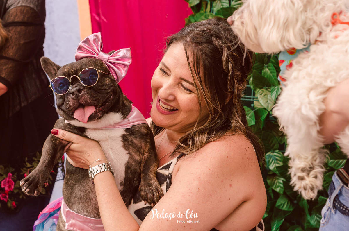 Aniversário pet bulldog francês