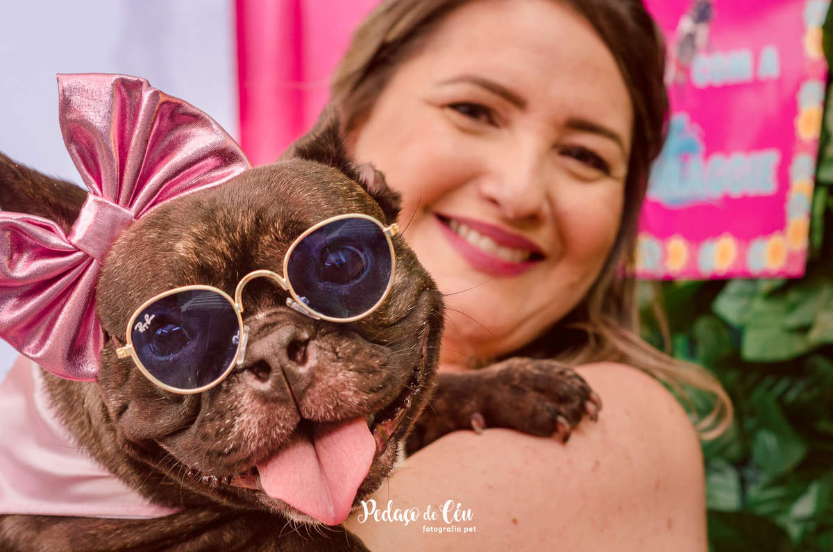 Aniversário pet bulldog francês