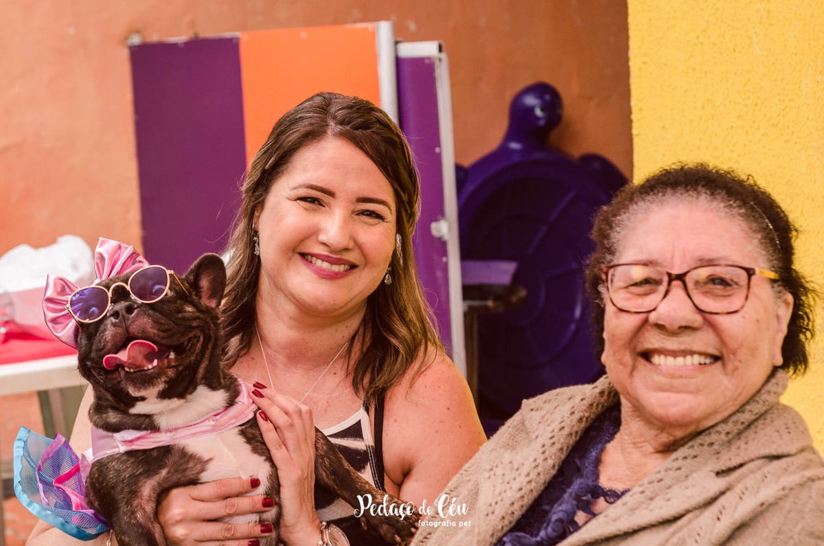 Aniversário pet bulldog francês